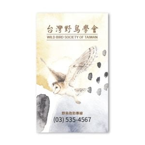 BUA1P10569
