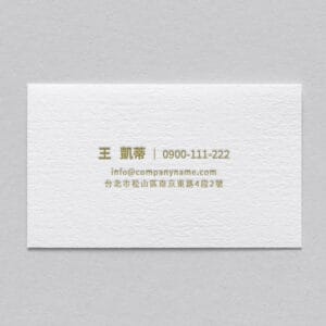 BUA1LS0051 凸版印刷名片單色